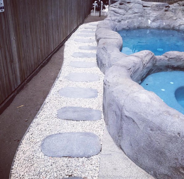 Swimming pool landscaping Brookwater QLD