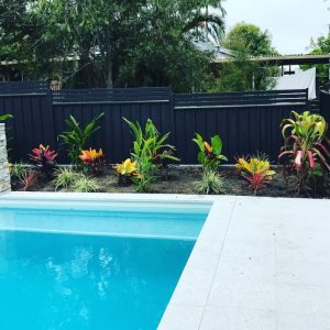 Swiiming pool landscaping Rochedale QLD